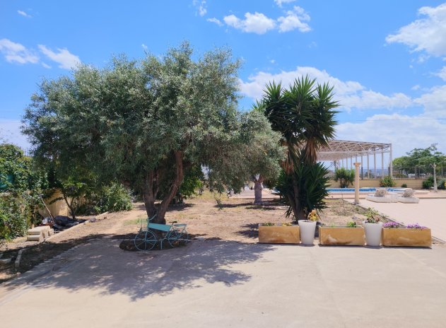 Resale - Finca / Country Property *  - Los Montesinos *