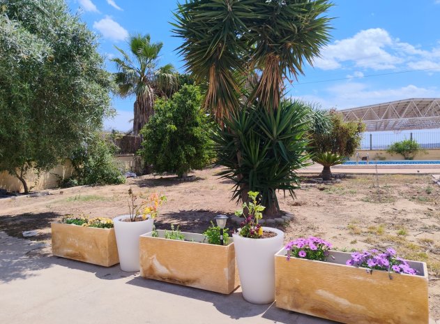 Resale - Finca / Country Property *  - Los Montesinos *