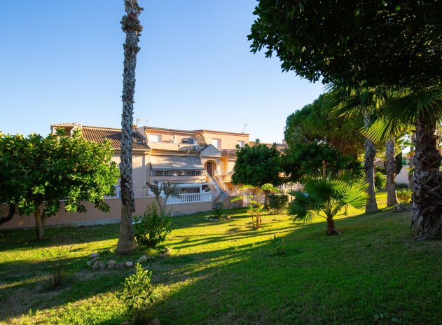 Wiederverkauf - Wohnung - Torrevieja - Torreblanca