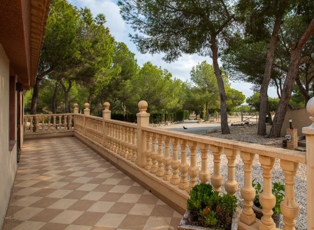 Herverkoop - Finca / Plattelands Woning - Torremendo