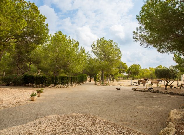Herverkoop - Finca / Plattelands Woning - Torremendo