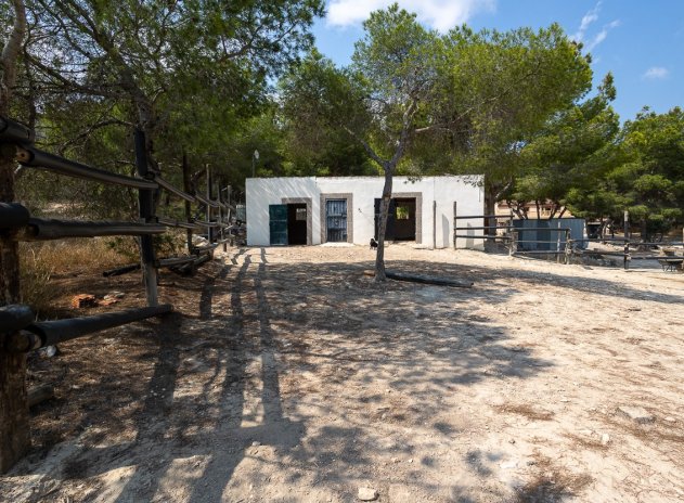 Herverkoop - Finca / Plattelands Woning - Torremendo