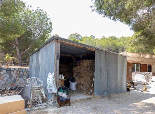 Herverkoop - Finca / Plattelands Woning - Torremendo
