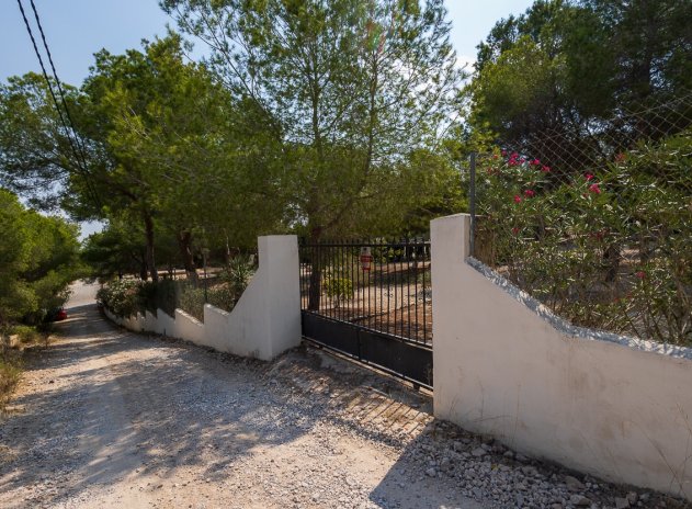 Herverkoop - Finca / Plattelands Woning - Torremendo