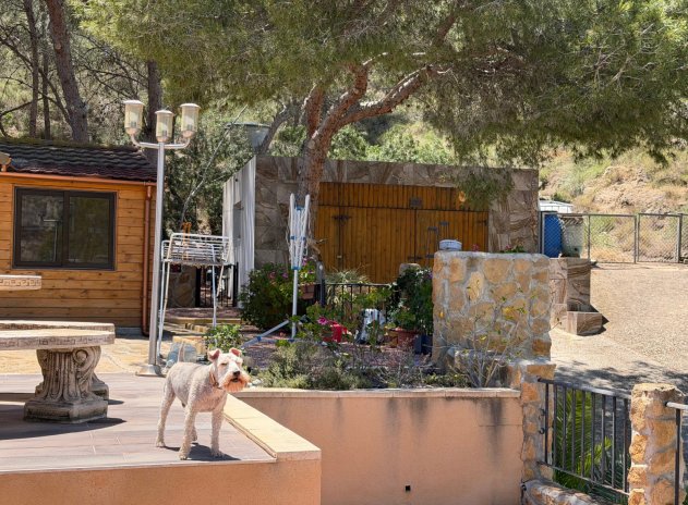Herverkoop - Finca / Plattelands Woning - Orihuela - Torremendo