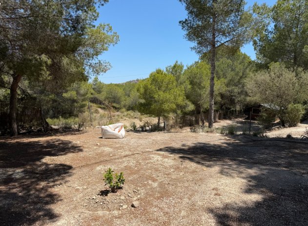 Herverkoop - Finca / Plattelands Woning - Orihuela - Torremendo