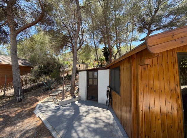 Herverkoop - Finca / Plattelands Woning - Orihuela - Torremendo
