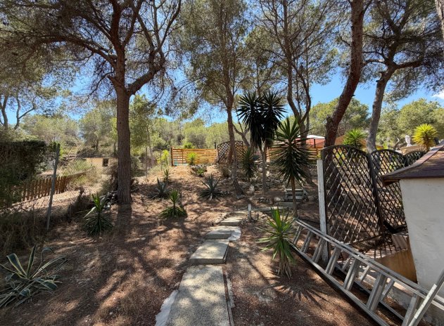 Herverkoop - Finca / Plattelands Woning - Orihuela - Torremendo