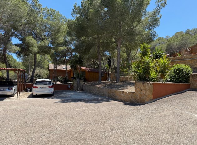 Herverkoop - Finca / Plattelands Woning - Orihuela - Torremendo