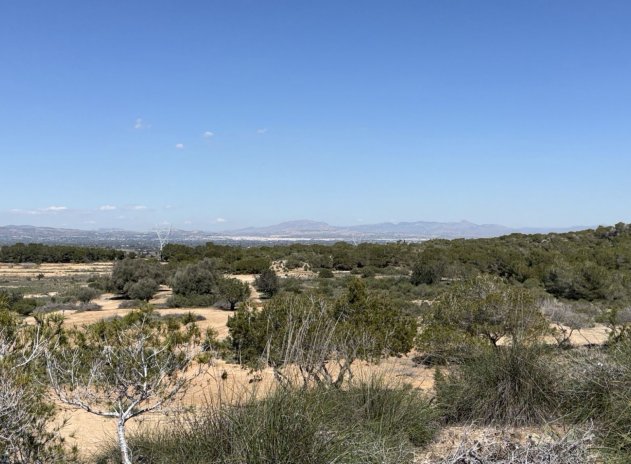 Reventa - Land and Plots - San Fulgencio - La Marina