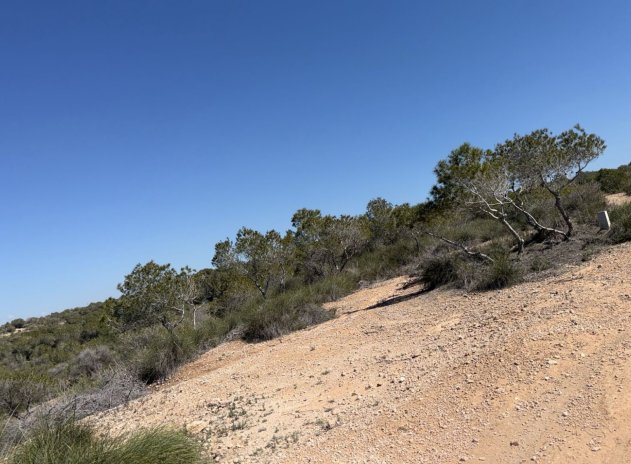 Reventa - Land and Plots - San Fulgencio - La Marina
