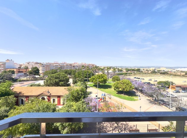 Revente - Appartement - Torrevieja - Acequion