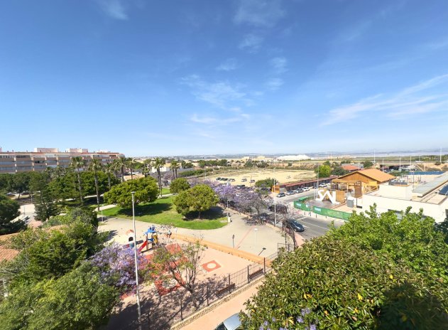 Revente - Appartement - Torrevieja - Acequion