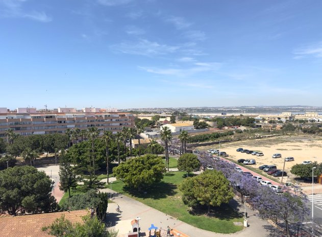 Revente - Appartement - Torrevieja - Acequion