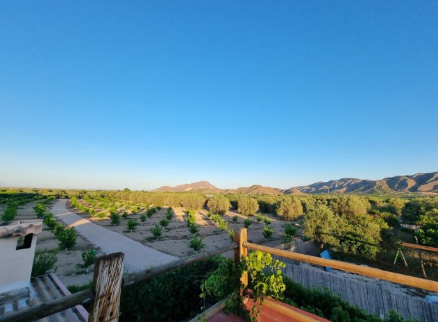 Reventa - Villa - Orihuela - Benferri