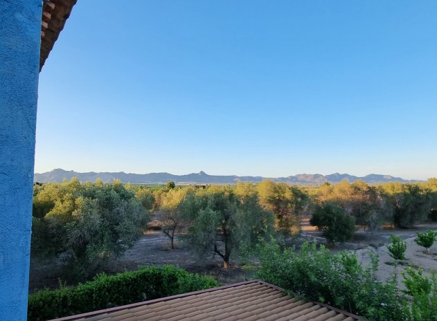 Reventa - Villa - Orihuela - Benferri
