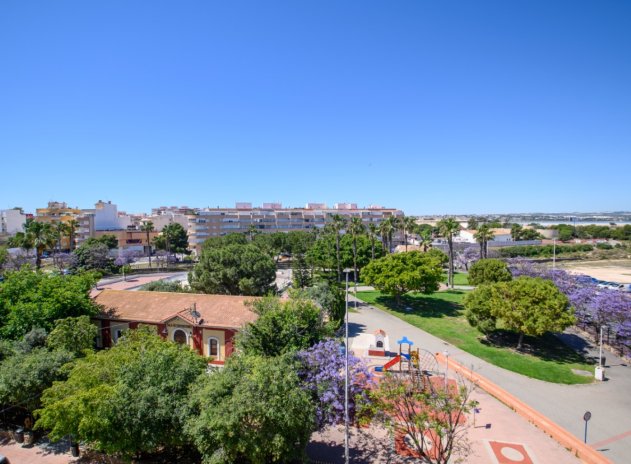 Revente - Appartement - Torrevieja - Acequion
