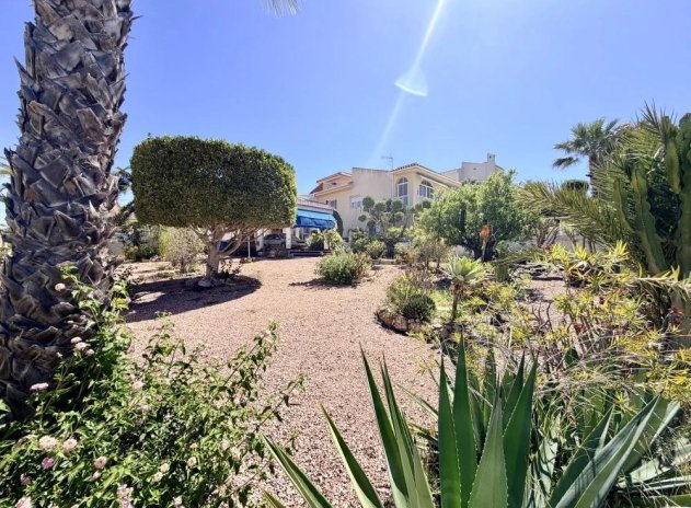 Herverkoop - Villa - Rojales - Doña Pepa