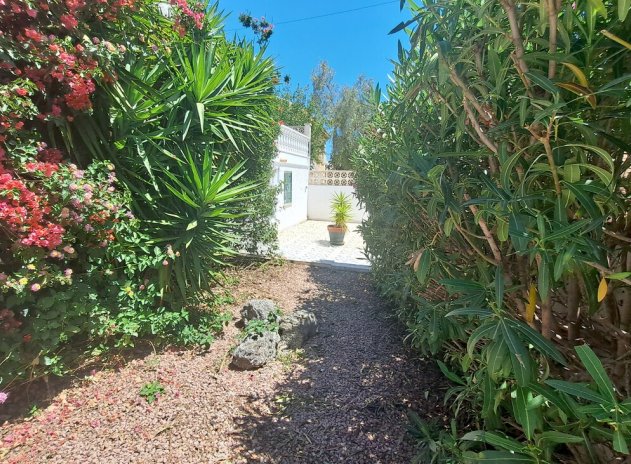 Herverkoop - Villa - San Miguel de Salinas - Blue lagoon