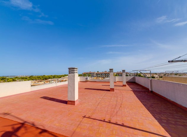 Herverkoop - Appartement - Torrevieja - San luis