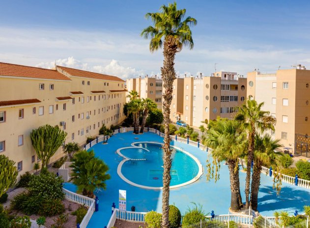 Herverkoop - Appartement - Torrevieja - San luis