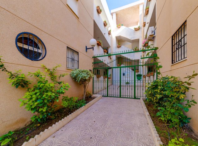 Herverkoop - Appartement - Torrevieja - San luis