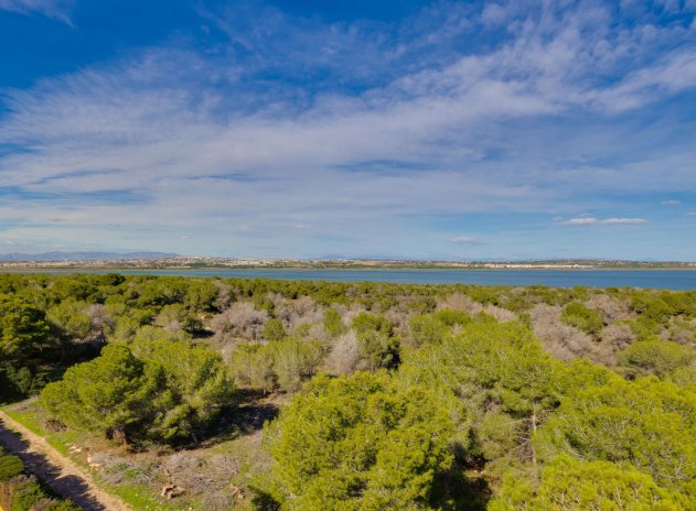 Herverkoop - Appartement - Torrevieja - San luis