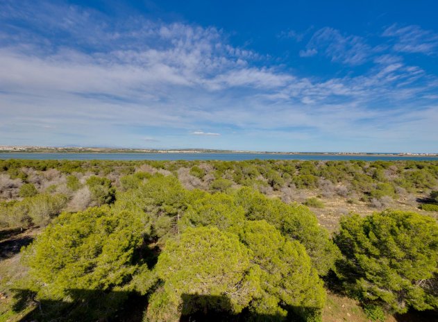 Herverkoop - Appartement - Torrevieja - San luis