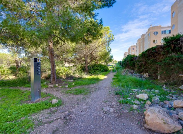 Herverkoop - Appartement - Torrevieja - San luis