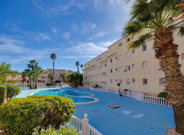 Herverkoop - Appartement - Torrevieja - San luis