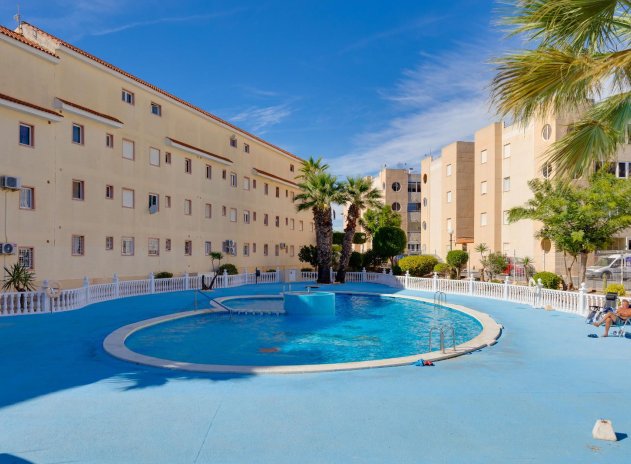 Herverkoop - Appartement - Torrevieja - San luis
