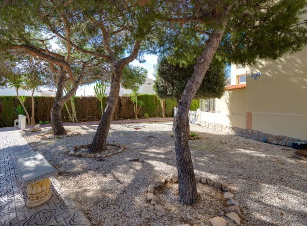 Herverkoop - Appartement - Torrevieja - San luis
