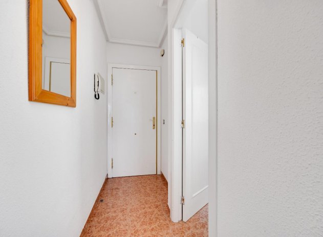 Wiederverkauf - Wohnung - Torrevieja - Parque de las Naciones