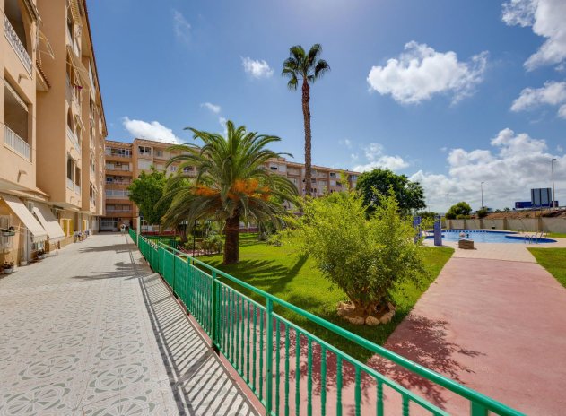 Wiederverkauf - Wohnung - Torrevieja - Parque de las Naciones