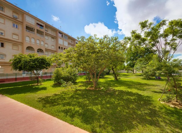 Wiederverkauf - Wohnung - Torrevieja - Parque de las Naciones