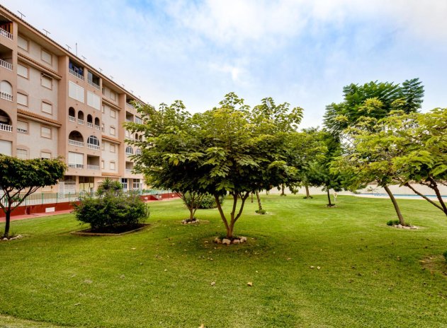 Wiederverkauf - Wohnung - Torrevieja - Parque de las Naciones