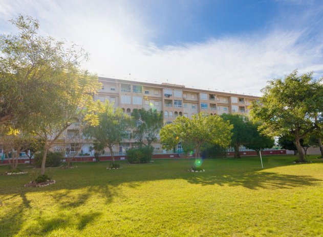 Wiederverkauf - Wohnung - Torrevieja - Parque de las Naciones