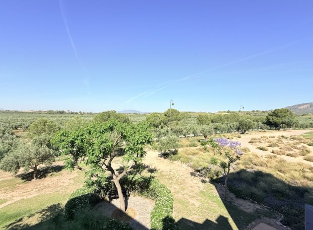 Resale - Apartment / Flat * - Hacienda Riquelme Golf Resort