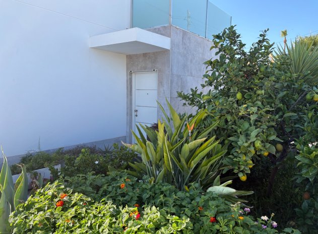 Revente - Villa - Torrevieja - Torreta - Florida
