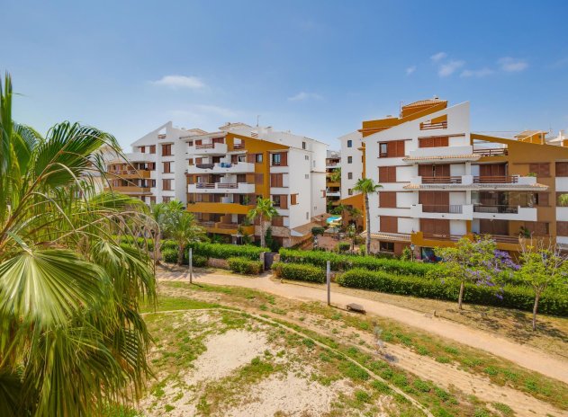 Herverkoop - Appartement - Torrevieja - Punta Prima