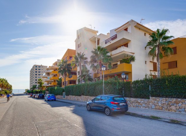 Herverkoop - Appartement - Torrevieja - Punta Prima