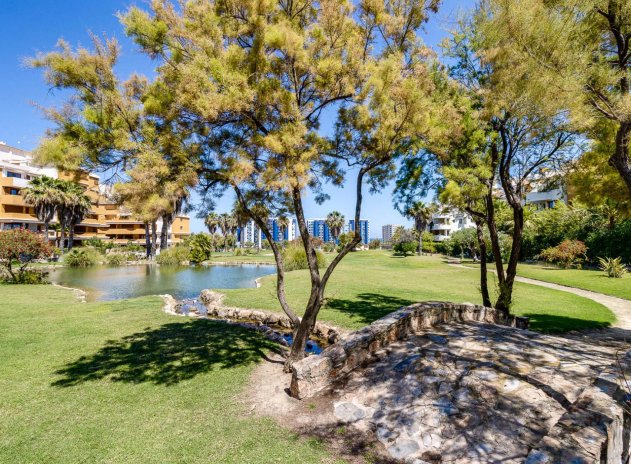 Herverkoop - Appartement - Torrevieja - Punta Prima