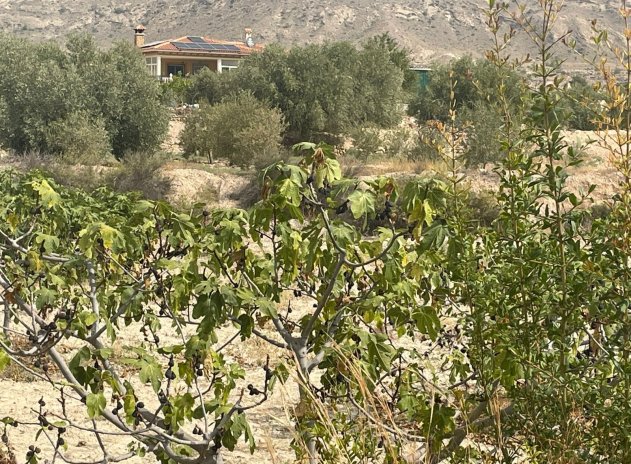 Herverkoop - Finca / Plattelands Woning - Abanilla