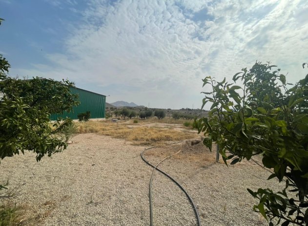Herverkoop - Finca / Plattelands Woning - Abanilla