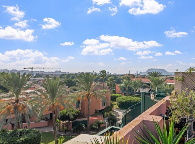 Herverkoop - Appartement - Playa San Juan - San Juan de Alicante