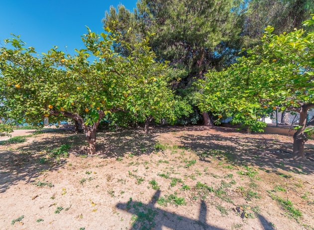Revente - Villa - San Vicente del Raspeig