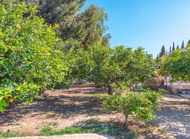 Revente - Villa - San Vicente del Raspeig