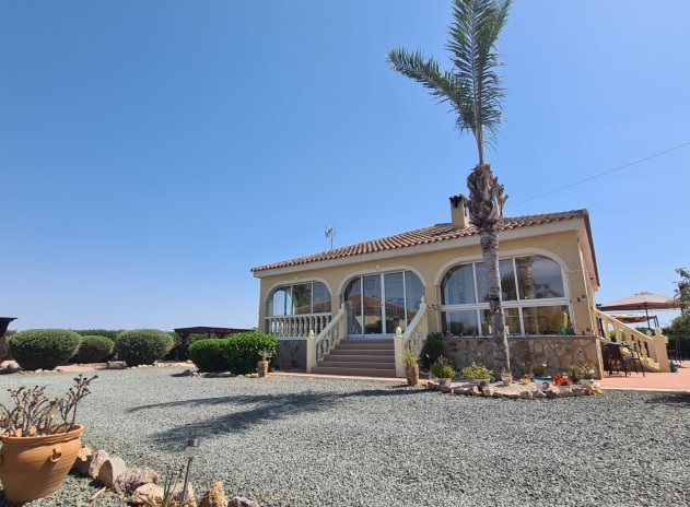 Resale - Finca / Country Property *  - Catral *