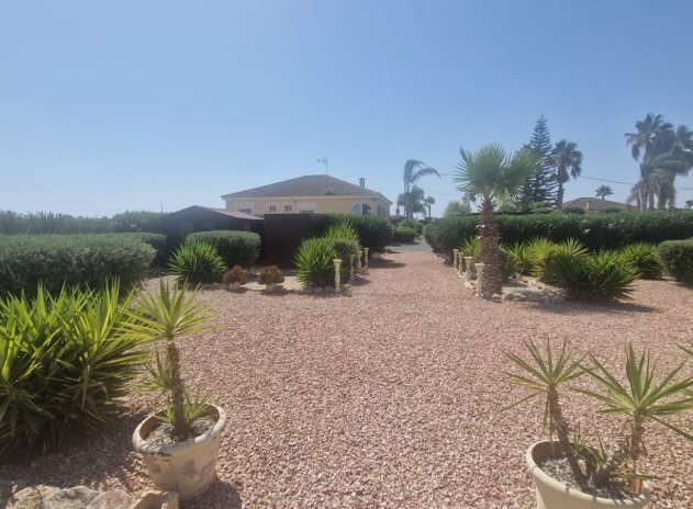 Resale - Finca / Country Property *  - Catral *