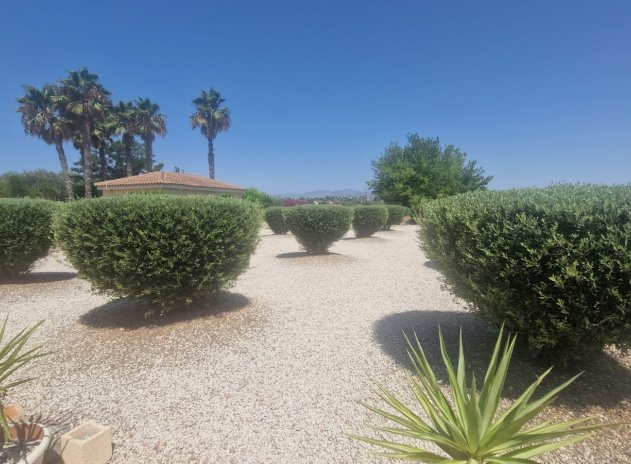 Resale - Finca / Country Property *  - Catral *